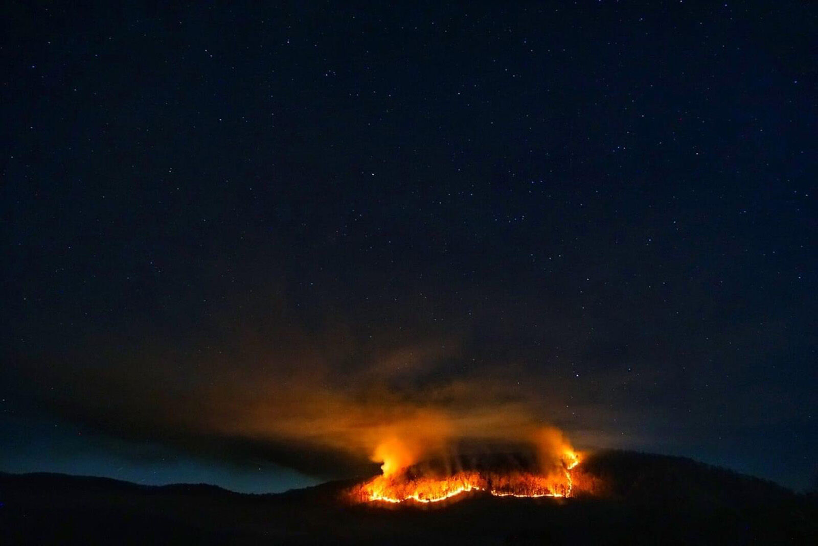 Fire officials: Nearly 50 acres burned in Pogue Mountain fire